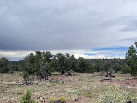Tiny photo for 2837 Rebel Yell Road, Show Low, AZ 85901 (MLS # 258940)