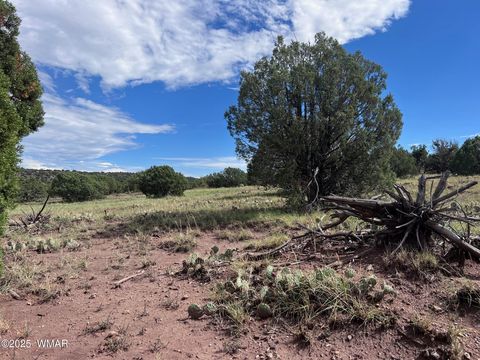 Tiny photo for 2837 Rebel Yell Road, Show Low, AZ 85901 (MLS # 258940)