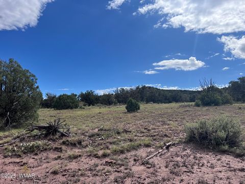 Tiny photo for 2837 Rebel Yell Road, Show Low, AZ 85901 (MLS # 258940)