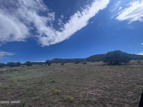 Tiny photo for 2837 Rebel Yell Road, Show Low, AZ 85901 (MLS # 258940)