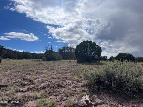 Tiny photo for 2837 Rebel Yell Road, Show Low, AZ 85901 (MLS # 258940)