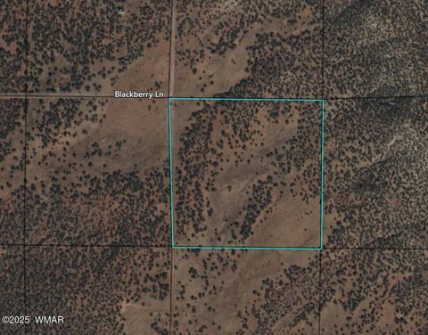 Tiny photo for 2837 Rebel Yell Road, Show Low, AZ 85901 (MLS # 258940)