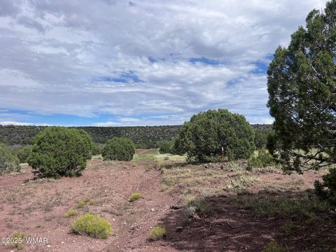 Tiny photo for 2837 Rebel Yell Road, Show Low, AZ 85901 (MLS # 258940)