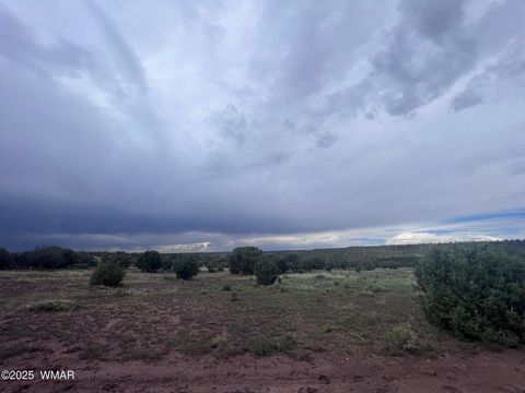 Tiny photo for 2837 Rebel Yell Road, Show Low, AZ 85901 (MLS # 258940)