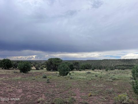 Tiny photo for 2837 Rebel Yell Road, Show Low, AZ 85901 (MLS # 258940)