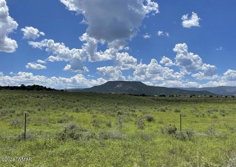 Tiny photo for TBD Parcel 4, Springerville, AZ 85938 (MLS # 251562)