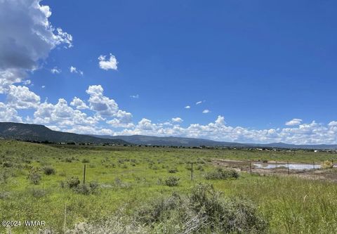 Tiny photo for TBD Parcel 4, Springerville, AZ 85938 (MLS # 251562)