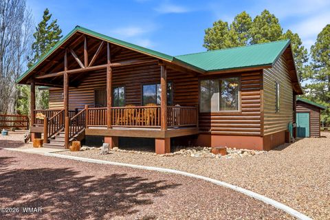 Photo of 2671 Palomino Trail, Overgaard, AZ 85933 (MLS # 260332)