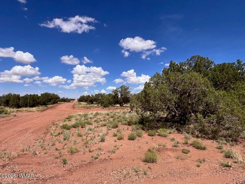Tiny photo for 4289 Colt Road, Snowflake, AZ 85937 (MLS # 262348)