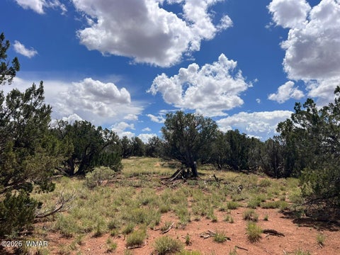 Tiny photo for 4289 Colt Road, Snowflake, AZ 85937 (MLS # 262348)