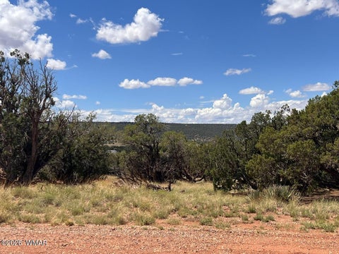 Tiny photo for 4289 Colt Road, Snowflake, AZ 85937 (MLS # 262348)