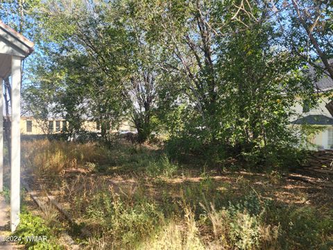 Tiny photo for 240 S 1st, Saint Johns, AZ 85936 (MLS # 253423)