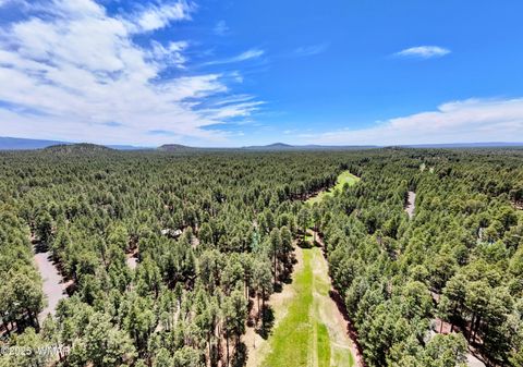 Tiny photo for 3460 Warrior Court, Pinetop, AZ 85935 (MLS # 256186)