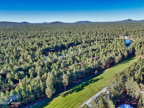 Tiny photo for 3460 Warrior Court, Pinetop, AZ 85935 (MLS # 256186)