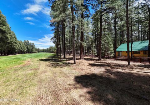 Tiny photo for 3460 Warrior Court, Pinetop, AZ 85935 (MLS # 256186)