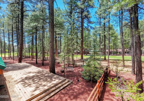 Tiny photo for 3460 Warrior Court, Pinetop, AZ 85935 (MLS # 256186)