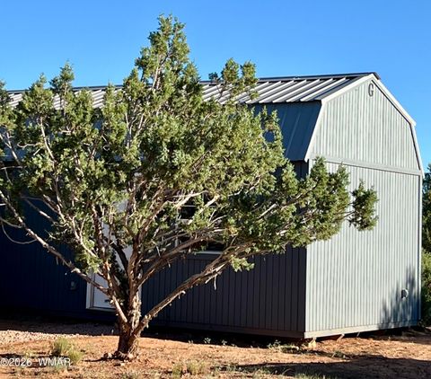 Tiny photo for 1898 Rocky Lane, Show Low, AZ 85901 (MLS # 259640)