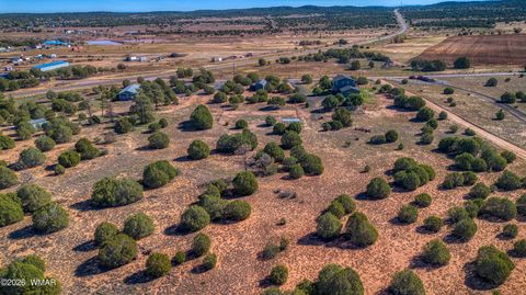 Tiny photo for 1898 Rocky Lane, Show Low, AZ 85901 (MLS # 259640)