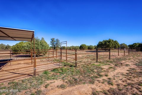 Tiny photo for 1898 Rocky Lane, Show Low, AZ 85901 (MLS # 259640)