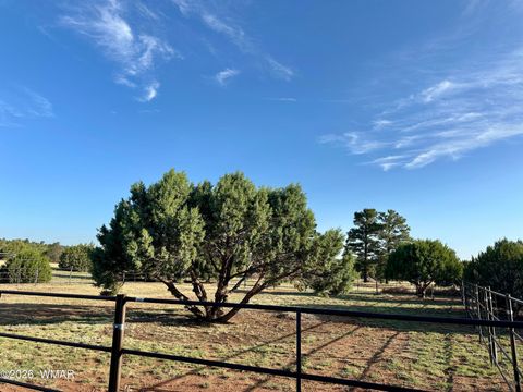 Tiny photo for 1898 Rocky Lane, Show Low, AZ 85901 (MLS # 259640)