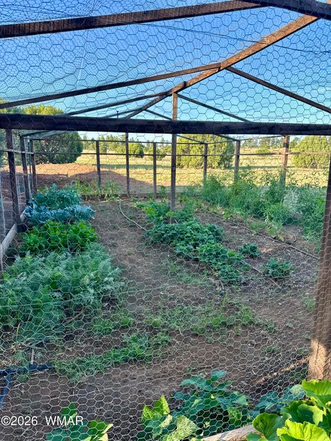 Tiny photo for 1898 Rocky Lane, Show Low, AZ 85901 (MLS # 259640)