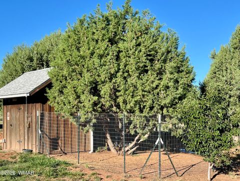 Tiny photo for 1898 Rocky Lane, Show Low, AZ 85901 (MLS # 259640)