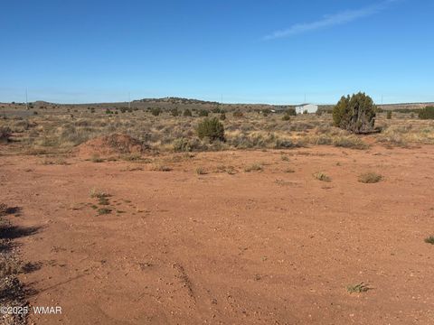 Tiny photo for 914 Peach Blossom Lane, Snowflake, AZ 85937 (MLS # 258548)
