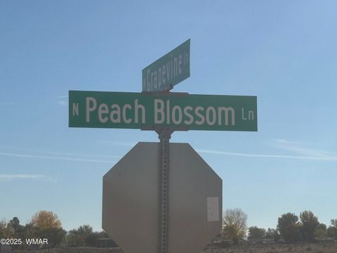 Tiny photo for 914 Peach Blossom Lane, Snowflake, AZ 85937 (MLS # 258548)