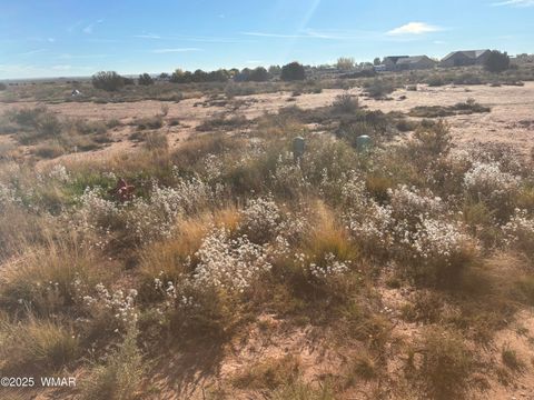 Tiny photo for 914 Peach Blossom Lane, Snowflake, AZ 85937 (MLS # 258548)