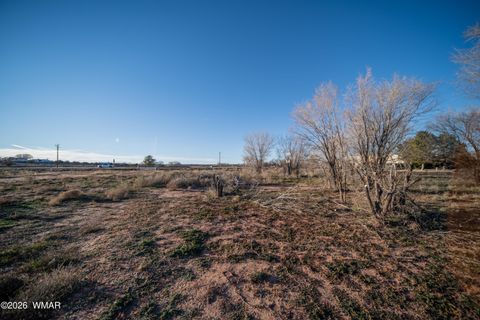 Tiny photo for TBD S Main Street, Snowflake, AZ 85937 (MLS # 259219)