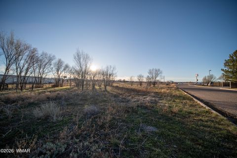 Tiny photo for TBD S Main Street, Snowflake, AZ 85937 (MLS # 259219)