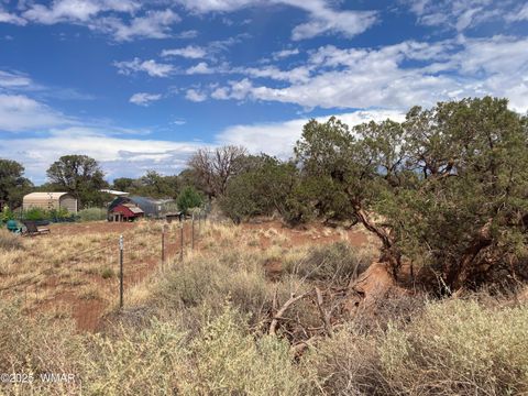 Tiny photo for 4341 Clydesdale Road, Snowflake, AZ 85937 (MLS # 255573)