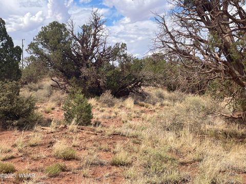Tiny photo for 4341 Clydesdale Road, Snowflake, AZ 85937 (MLS # 255573)