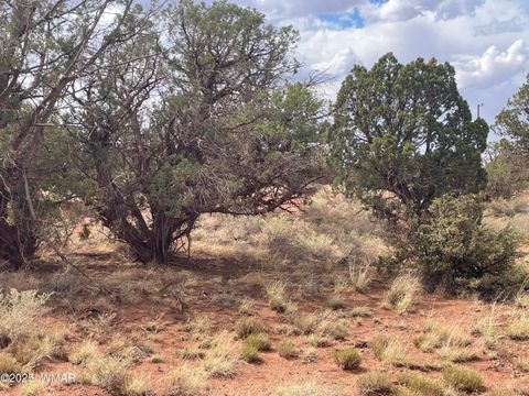 Tiny photo for 4341 Clydesdale Road, Snowflake, AZ 85937 (MLS # 255573)