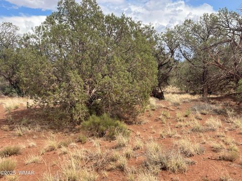 Tiny photo for 4341 Clydesdale Road, Snowflake, AZ 85937 (MLS # 255573)