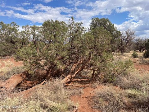 Tiny photo for 4341 Clydesdale Road, Snowflake, AZ 85937 (MLS # 255573)