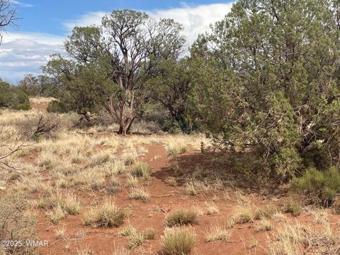 Tiny photo for 4341 Clydesdale Road, Snowflake, AZ 85937 (MLS # 255573)