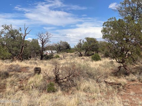 Tiny photo for 4341 Clydesdale Road, Snowflake, AZ 85937 (MLS # 255573)