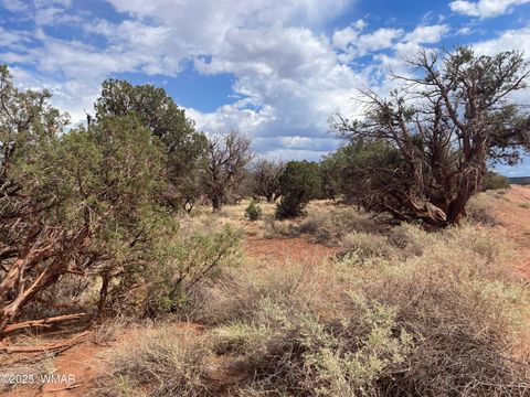 Tiny photo for 4341 Clydesdale Road, Snowflake, AZ 85937 (MLS # 255573)