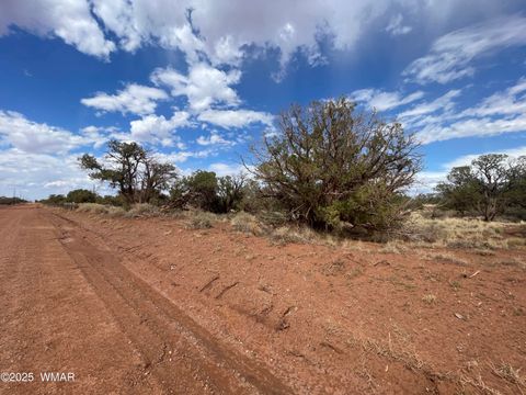 Tiny photo for 4341 Clydesdale Road, Snowflake, AZ 85937 (MLS # 255573)