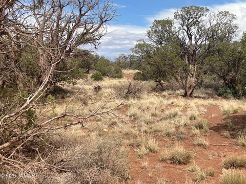 Tiny photo for 4341 Clydesdale Road, Snowflake, AZ 85937 (MLS # 255573)