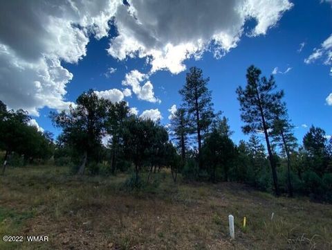 Tiny photo for 2101 W Whispering Springs Spgs, Show Low, AZ 85901 (MLS # 259454)