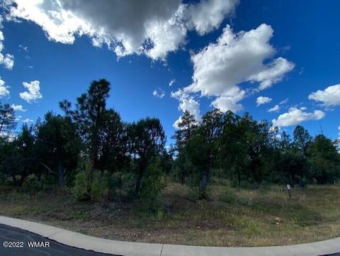Tiny photo for 2101 W Whispering Springs Spgs, Show Low, AZ 85901 (MLS # 259454)