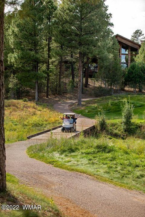 Tiny photo for 2101 W Whispering Springs Spgs, Show Low, AZ 85901 (MLS # 259454)