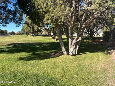 Tiny photo for 1878 Tee Time Lane #144, Show Low, AZ 85901 (MLS # 258622)