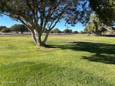 Tiny photo for 1878 Tee Time Lane #144, Show Low, AZ 85901 (MLS # 258622)