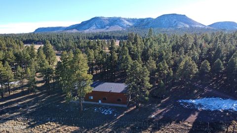 Tiny photo for 3 County Road N2261, Alpine, AZ 85920 (MLS # 259597)