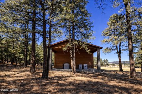 Tiny photo for 3 County Road N2261, Alpine, AZ 85920 (MLS # 259597)