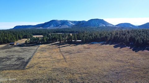 Tiny photo for 3 County Road N2261, Alpine, AZ 85920 (MLS # 259597)