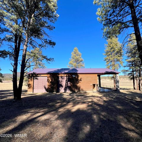 Tiny photo for 3 County Road N2261, Alpine, AZ 85920 (MLS # 259597)
